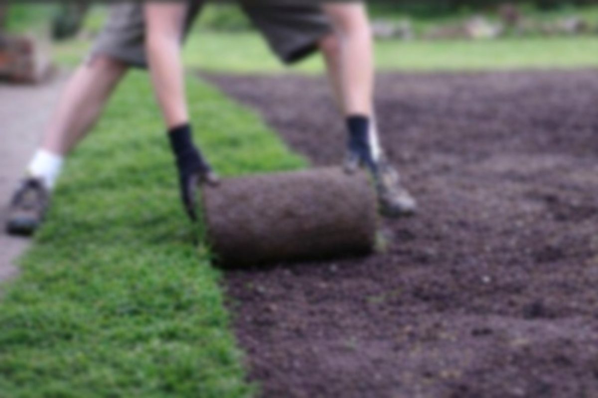 Instalación de césped