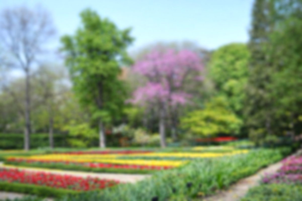 Jardín profesional diseñado por paisajistas de Paisajista.ar